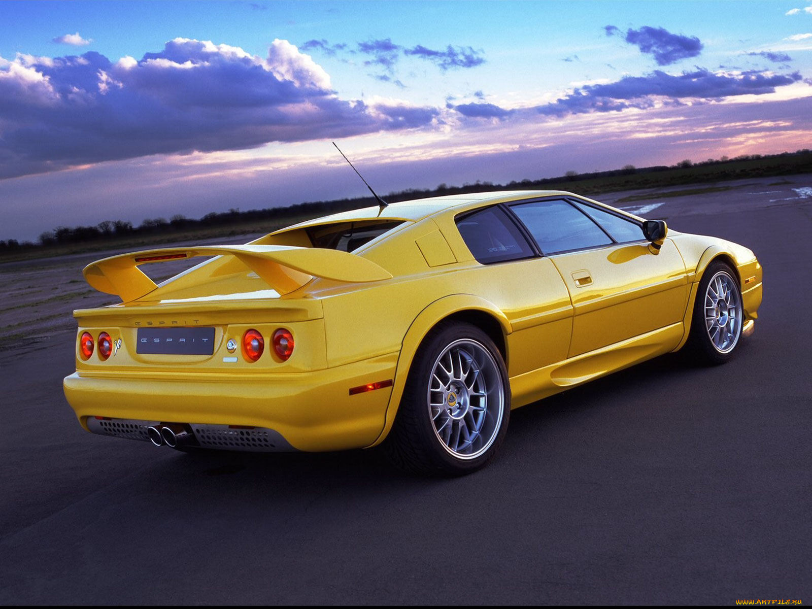 , lotus